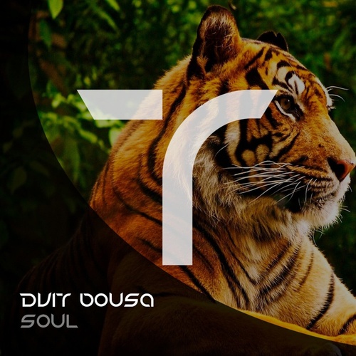 Dvit Bousa - Soul [TEMR012]
